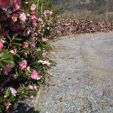 Ξενοδοχείο Castel Martino