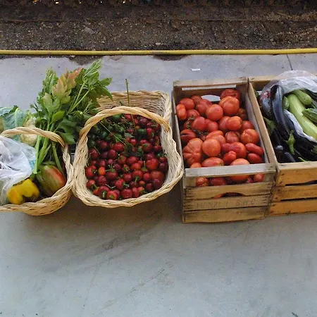 Castel Martino Ξενοδοχείο Cortemilia