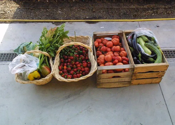 Castel Martino Szálloda Cortemilia