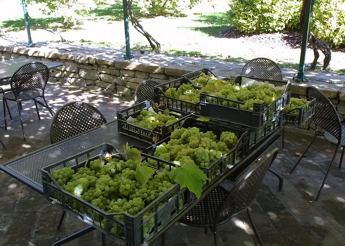 Castel Martino ホテル